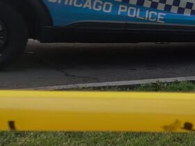 The man dies after being shot in Rogers Park on Monday