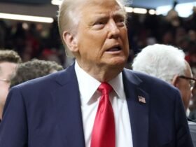 Third Judge Blocks Trump’s Order Ending Birthright Citizenship For Kids Of People In U.S. Illegally