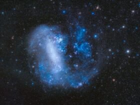 Large Magellanic Cloud