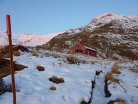 Tramper in tears after partner's death on glacier