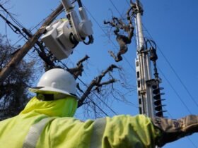 Utility Says Its Equipment Likely Started Small Blaze That Sparked During January's LA Firestorm