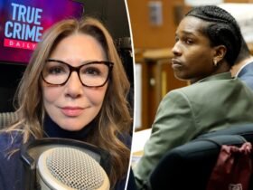 Why a $ AP Rocky's decision to show the plea is 'a gamble': expert