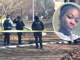 $ 10k reward offered after the girl has been beaten, stabbed in West Side Park
