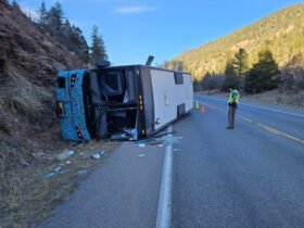 Bustang driver injured in rollover crash in San Miguel County