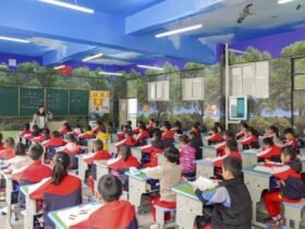 A classroom decorated to resemble a woodland as part of a myopia trial in a school in Lijiang in Yunnan province, China