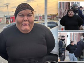 Convicted drug dealer cries while she is arrested by ice after she has re -entered us