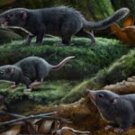 An illustration of small rodentlike mammals on a dense, lush forest floor