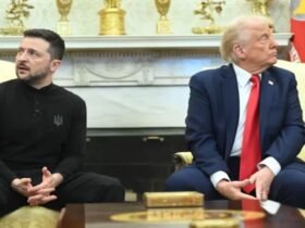 Days After White House Clash, Zelensky's "Strong Leader" Praise For Trump