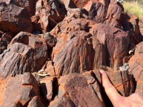 Earth’s Oldest Impact Crater Discovered in Australia