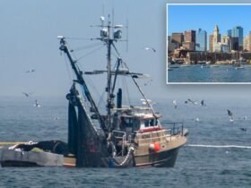 Fishermen pull body from the water off the coast of Massachusetts