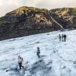 From polar bears to polar vortex: How Columbia Sportswear uses nature to protect us from it