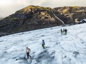 From polar bears to polar vortex: How Columbia Sportswear uses nature to protect us from it