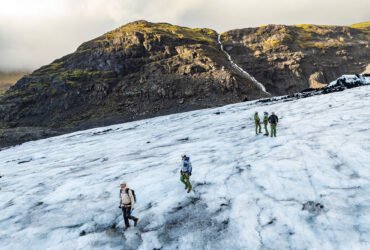 From polar bears to polar vortex: How Columbia Sportswear uses nature to protect us from it