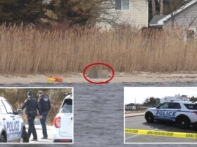 Man, 27, stabbed to death on Blue Point Beach of Long Island