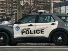 Manhunt In Toronto After 3 Gunmen Open Fire In Pub: Police