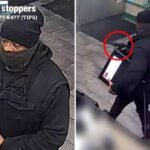 NYPD hunting for fast food lover thief