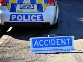 Pedestrian and truck in serious SH73 crash