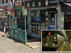 Ski-mask-wearing maniac stitches, Bites stranger in violent scuffle on board NYC Train: Cops