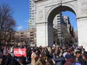 Thousands join Stand Up for Science rallies across the US