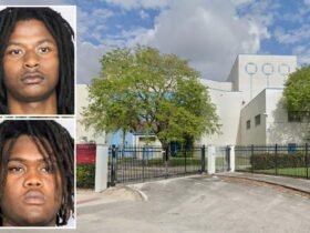 Two 19-year-old students arrested for caught-on-camera Beatdown of the high school of Florida
