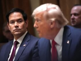 What Happened At Explosive Donald Trump Cabinet Showdown