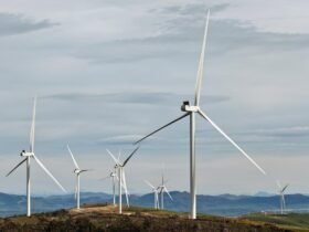 Wind farm decision time extended to legal maximum