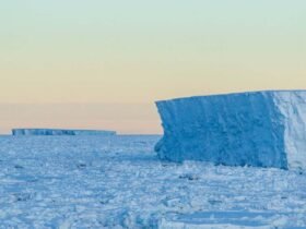 Colossal ancient icebergs left grooves on the bottom of the North Sea