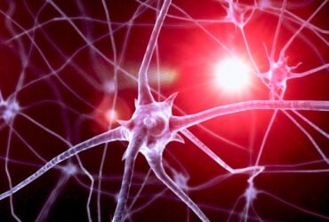 Dementia in Younger People Is Often Overlooked. Here Are 5 Key Reasons. : ScienceAlert
