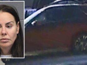 Fatal hit-and-run driver stopped and then drove over fallen pedestrians when she fled the scene: prosecutors