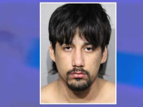 Migrant robbed the woman under the shot in Streeterville only 3 days after leaving electronic monitoring: prosecutors