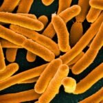 New tech helping reduce risk of antibiotic resistance crisis