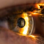 Something in The Back of Your Eye Could Reveal Whether You Have ADHD : ScienceAlert