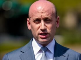 Stephen Miller Tells Fox News To Fire Its Pollster In Icy Live TV Moment
