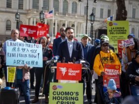 The Mad Mayoral Race of New York City: Letters