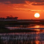 A photograph of the sun setting over Chesapeake Bay wetlands. A warming climate could increase bacterial methane production in wetlands.