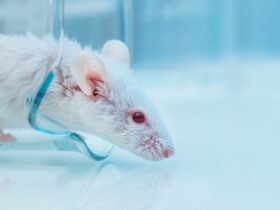 Anti-Aging Cocktail Extends Mouse Lifespan by About 30 Percent : ScienceAlert