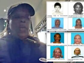 Colombian woman charged with illegal votes in the 2024 elections, and steals $ 400,000 in benefits funded by the taxpayer