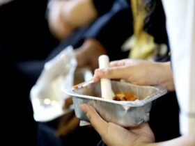 Dead insect larva found in govt-funded school lunch