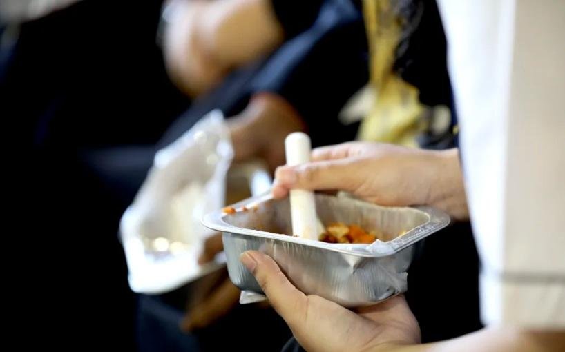 Dead insect larva found in govt-funded school lunch