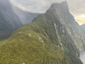 Dozens now searching for Milford Sound tramper