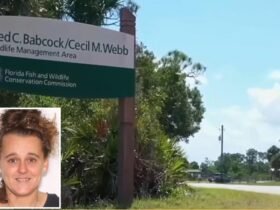 Florida Mother accused of stabbing daughter, 12, in face, neck