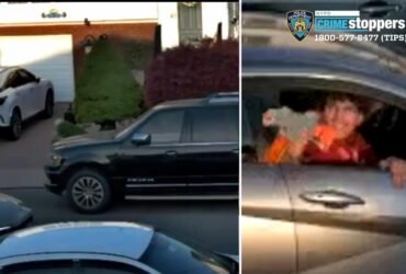 Happy Disease Disease Pellet gun with a woman with a 2 -month -old baby girl in NYC: Cops