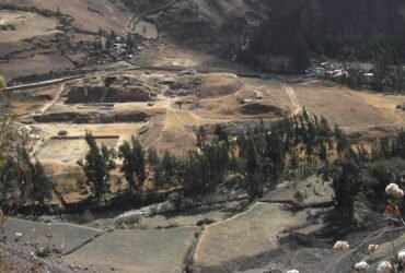 Heavy hallucinogenic rituals solidified social cabinets in pre-incan Peru