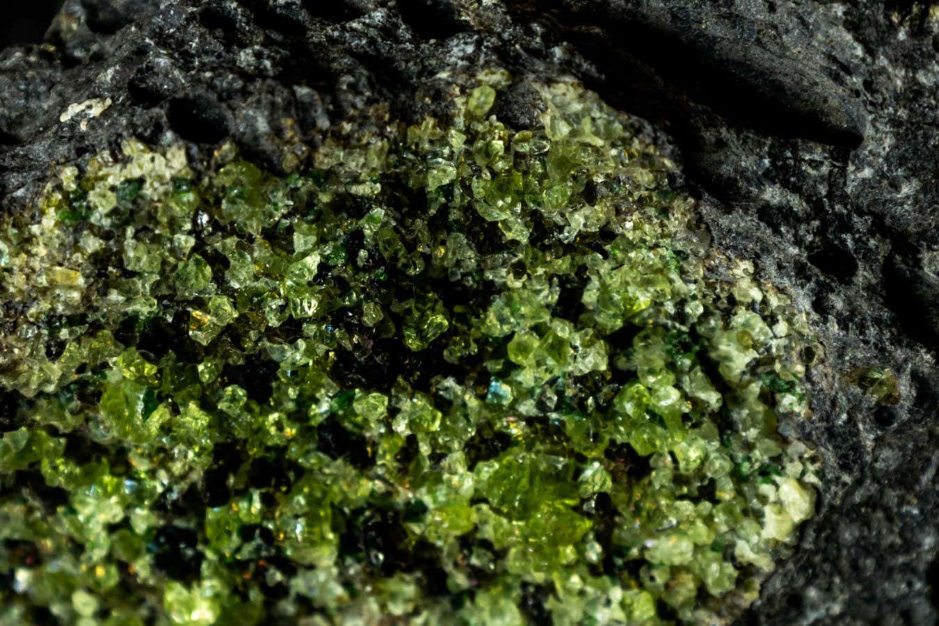 peridot crystals with a few dark olivine crystal