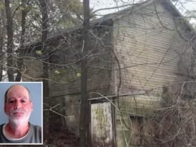 Human remains discovered in creepy deserted New Hampshire -Schuur belong to 'fugitive' sex offender Michael Schilz