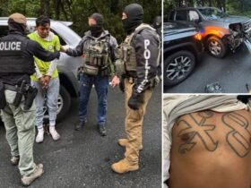 Ice Bustes Salvadoran Gangbanger of Violent 18th Street Gang after wild car -pursuit