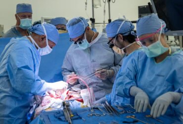 An image of surgeons completing a bladder transplant