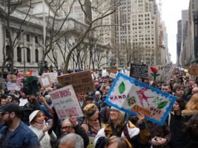 Judge stops the cutbacks from Trump to the Museum and Library Financing Office