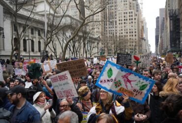 Judge stops the cutbacks from Trump to the Museum and Library Financing Office