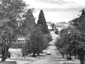 Letters to the Editor: Queenstown, Luxon, and clean energy